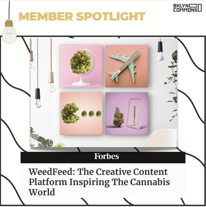 Forbes-names-Ben-Kraim’s-Weedfeed-as-an-Aesthetic-Reference-Point-for-Cannabis-and-Hemp-Brands-Across-the-Globe